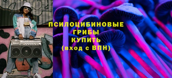 твердый Армянск
